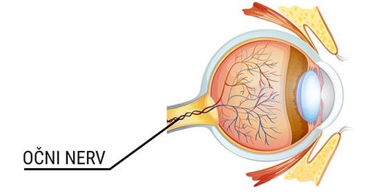 Očni nerv